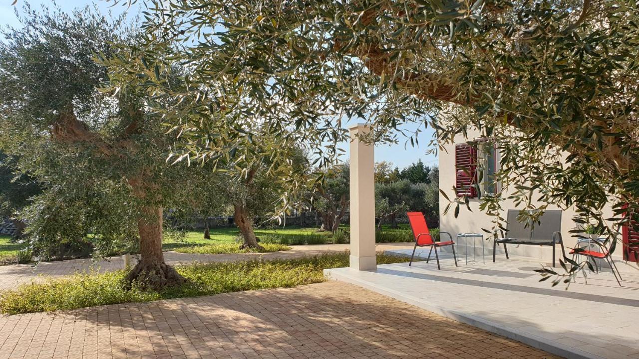 Tra Gli Ulivi Vila Putignano Exterior foto
